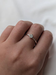 Ring Blume